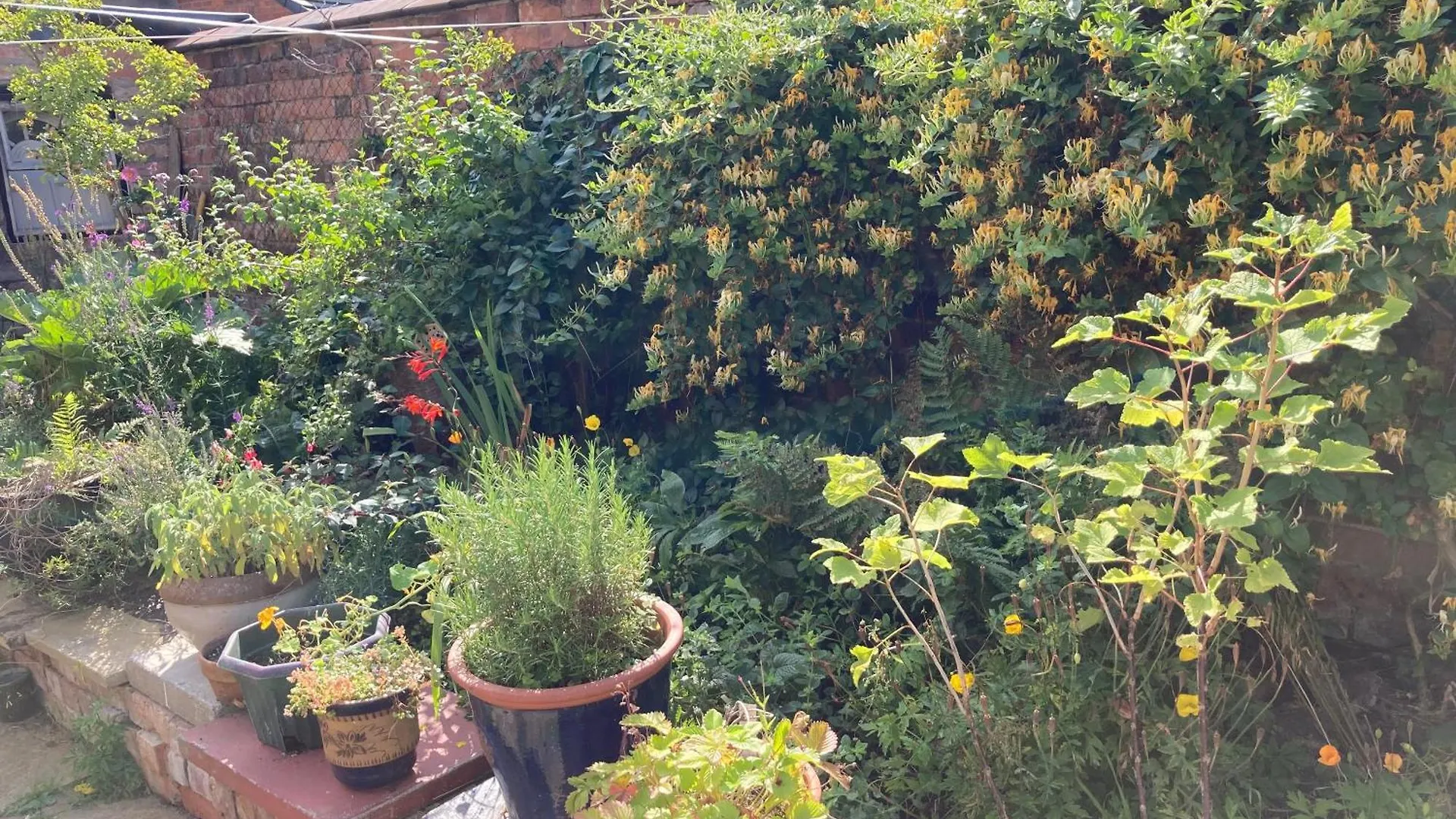 Beautiful Sunlit Rooms, 2 Mins From Beach, Private Garden Bridlington 0*,